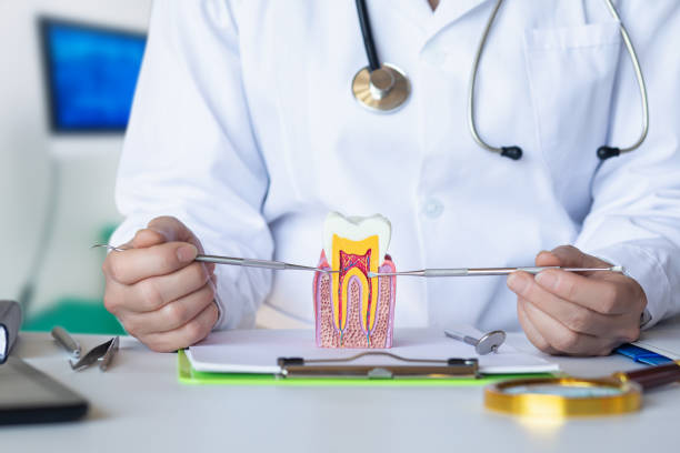Best Emergency Dental Care for Abscessed Tooth in Catawba, SC
